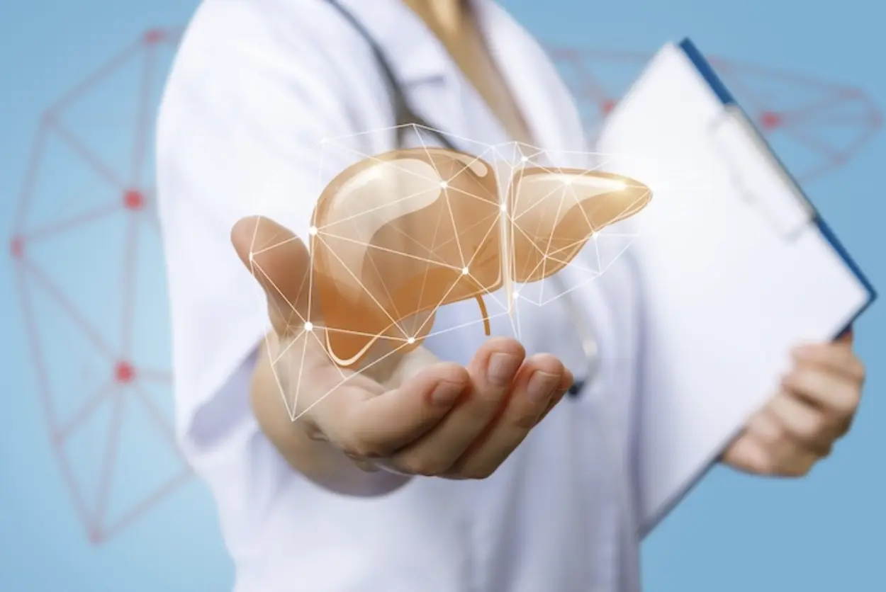 Bioengineered Liver Support