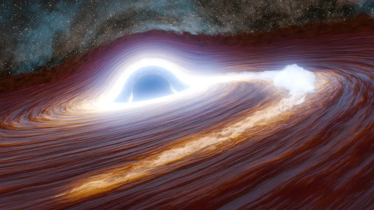Black hole devouring a star in a cosmic event dubbed 'the Whippet'