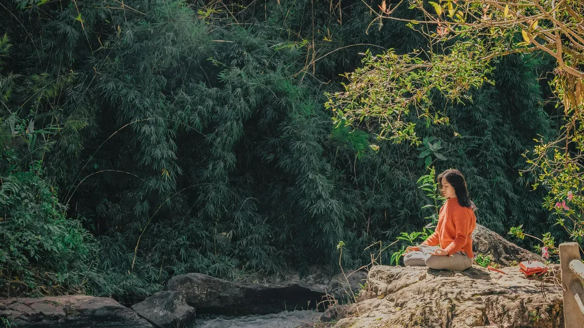 Diverse group of people practicing yoga and mindfulness in a park setting