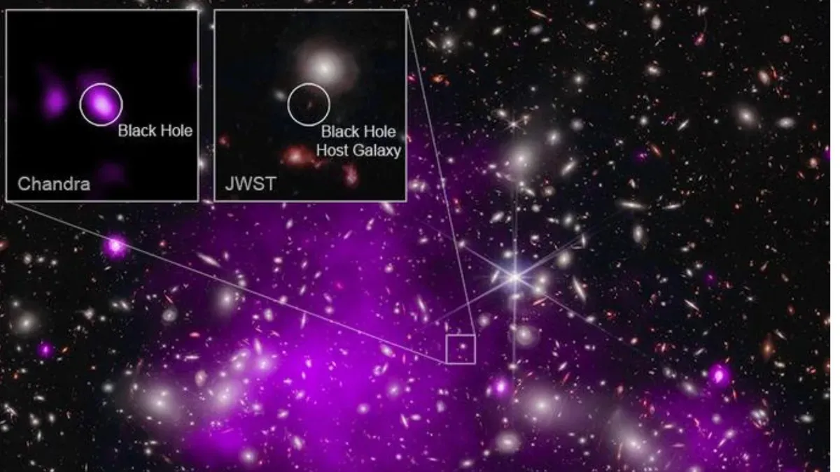 Artist's concept of dark stars in the early universe