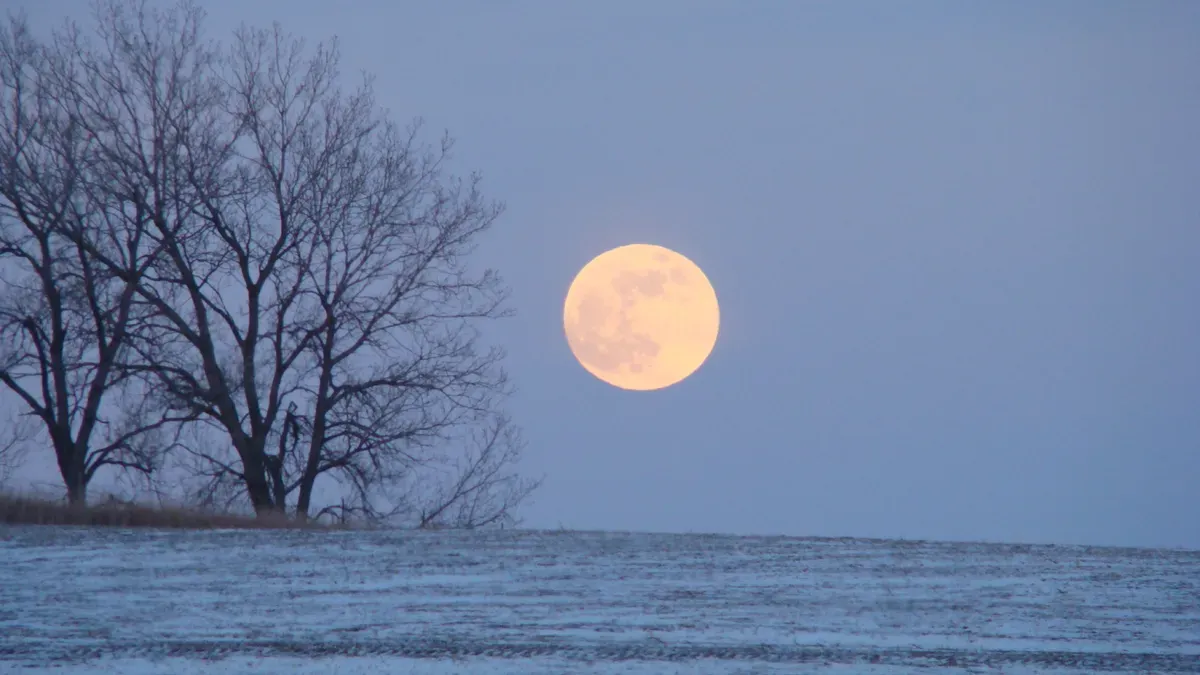 January 2026 Wolf Supermoon rising with Jupiter visible to its right and Pollux to its left.
