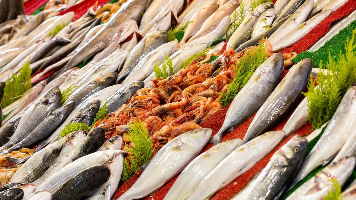 Stone Age bodies and modern diets comparison