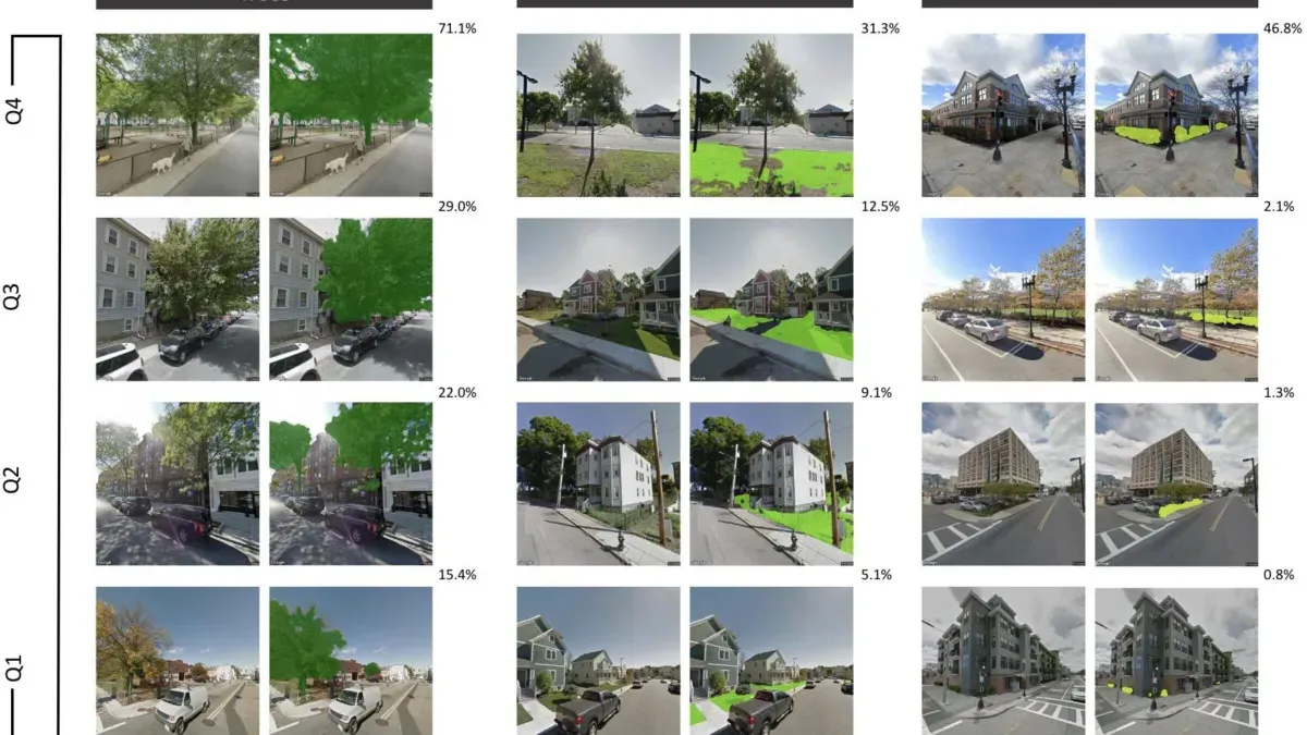 Urban trees and grass in a city park