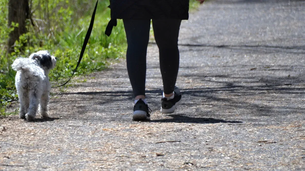 A diverse group of individuals engaging in health-focused activities like walking, hydrating, and receiving medical care with non-stigmatizing language.