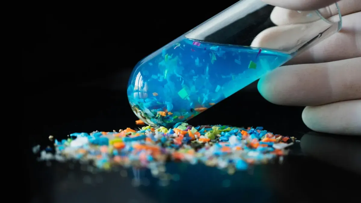 Fluorescent Technique Tracks Microplastics in Living Organisms